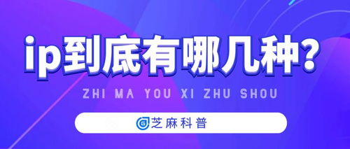 代理IP的種類與代理代辦服務解析